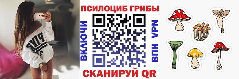 Купить закладки  Курган  Галлюциногенные грибы GOLDEN TEACHER 